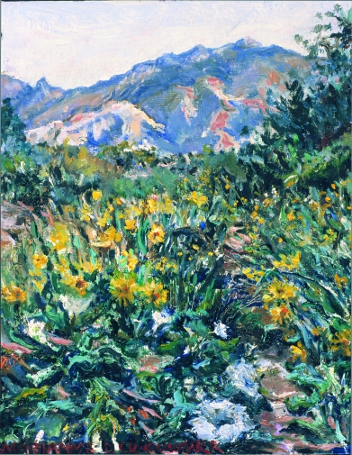 Wildflower Abyss